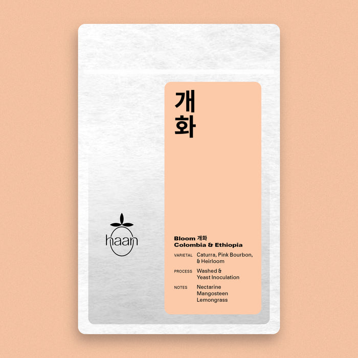 Bloom 개화 Seasonal Blend