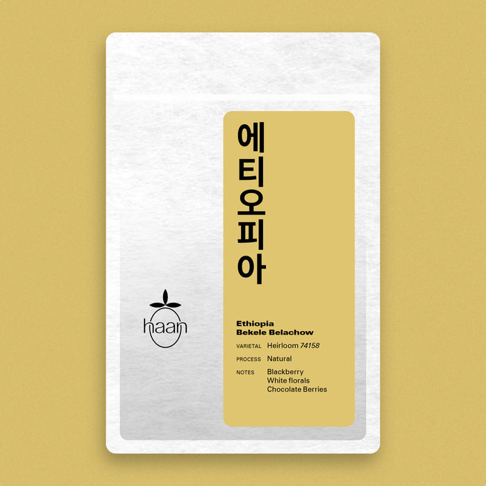 Ethiopia : Bekele Belachow