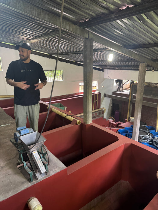 Colombia : Jose Posada, Irish Cream