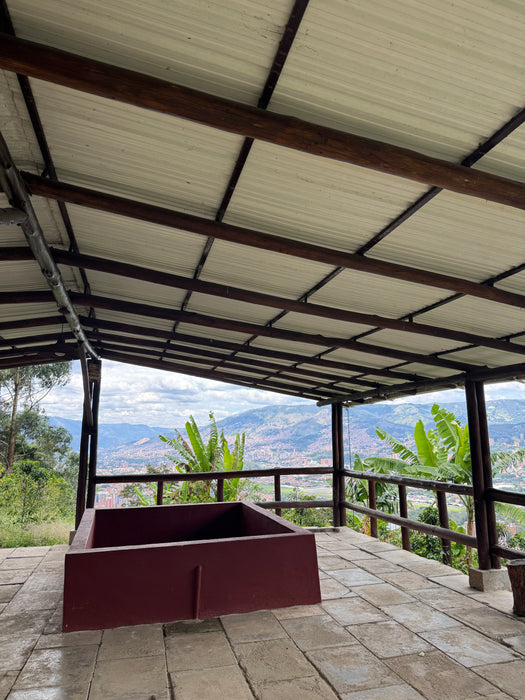 Colombia : Jose Posada, Irish Cream