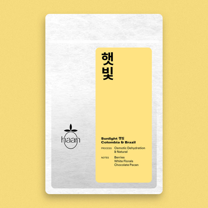 Sunlight 햇빛