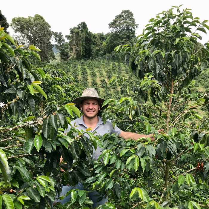 Colombia : Sebastian Ramirez, Natural BG