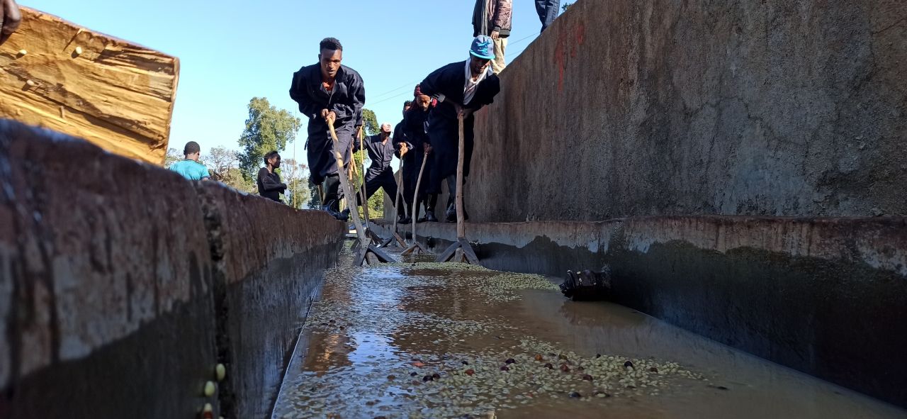 Ethiopia : Getachew Zeleke